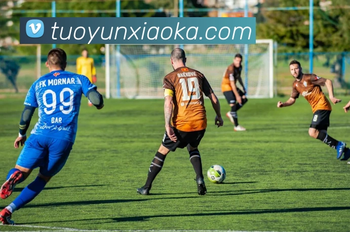 世界杯官网登录app服务体系